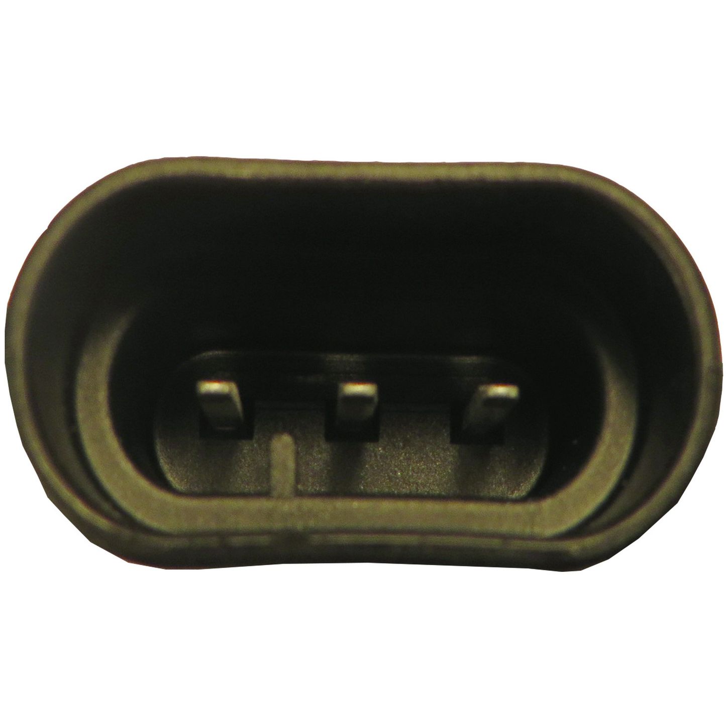 MAF10126 5