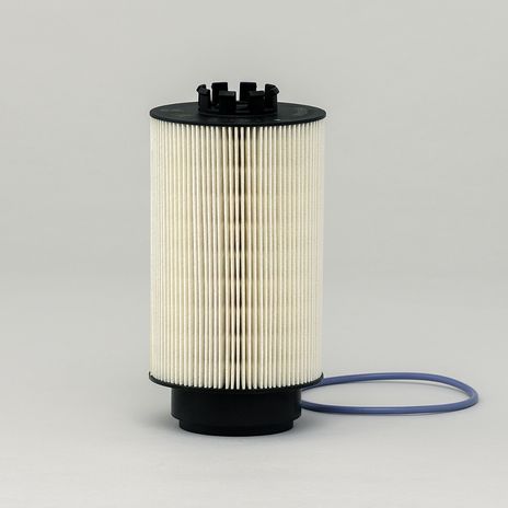 p582500.jpg