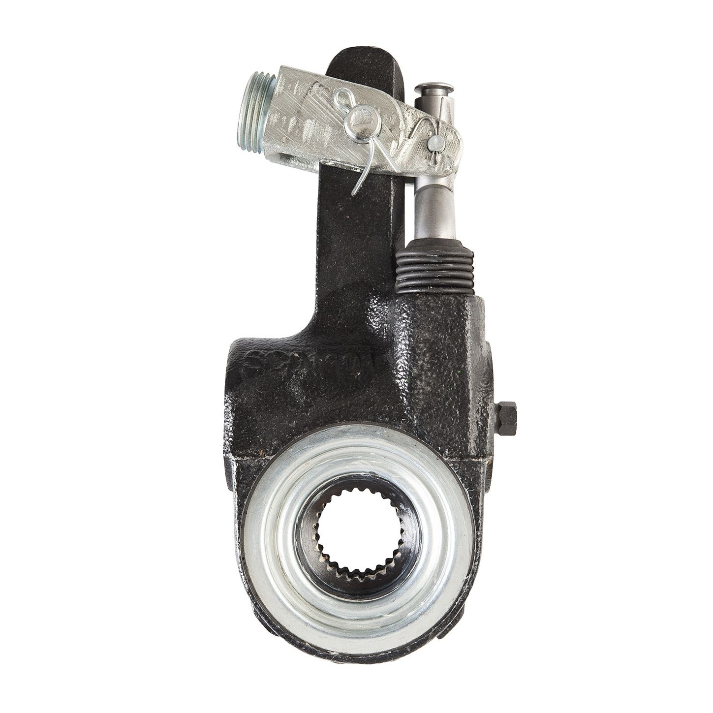 CS56038_2.jpg