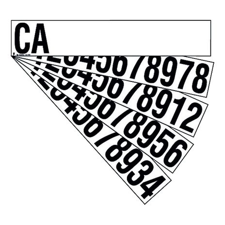 CA101
