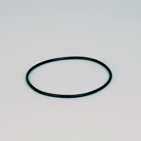 p160137.jpg