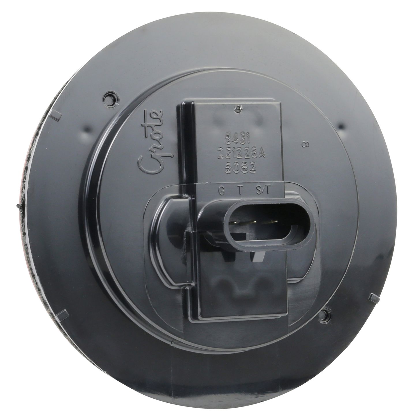 54313-back