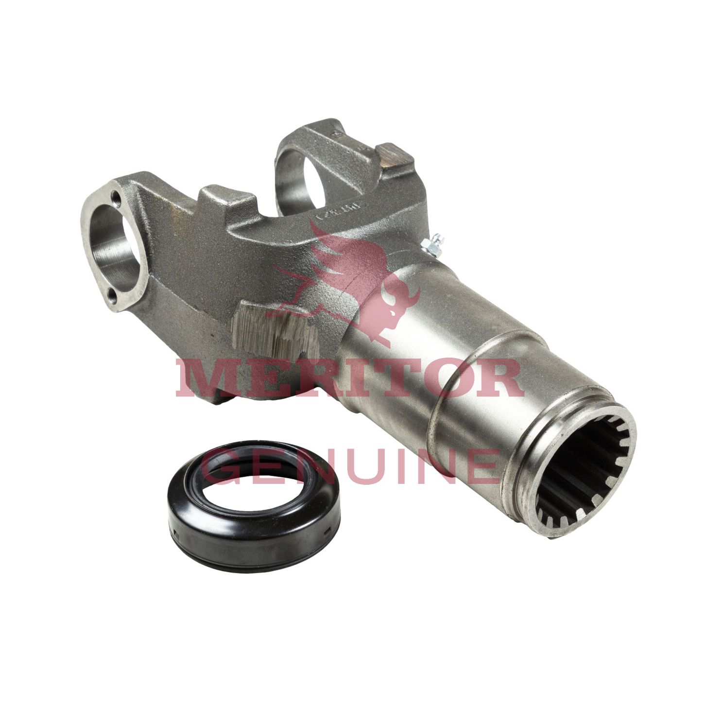 17NLS40124A1MXL