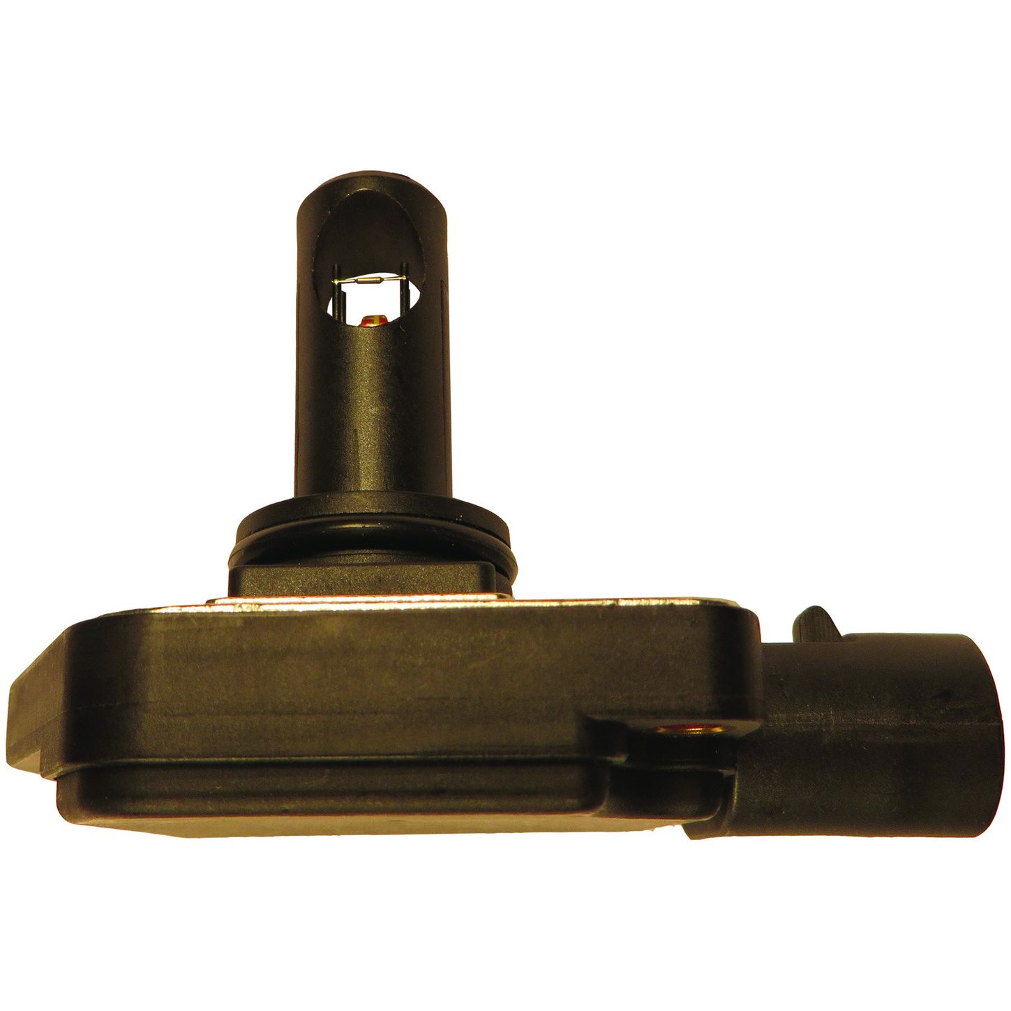 MAF10138 SID