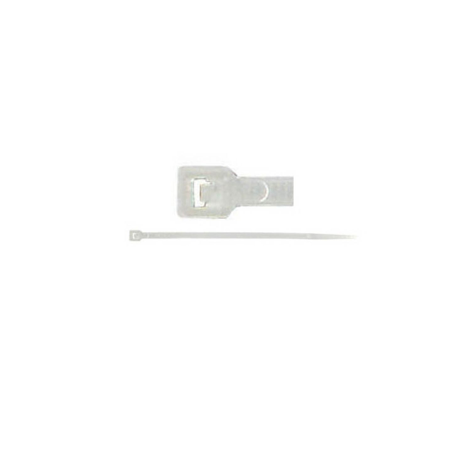 BE29551.jpg