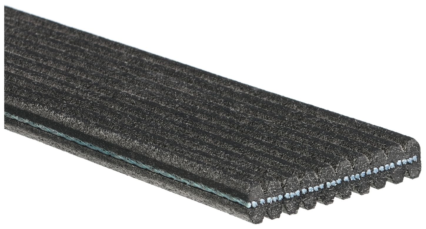 serpentine-beltimage-DK100672-DK100743-DK100744.jpg