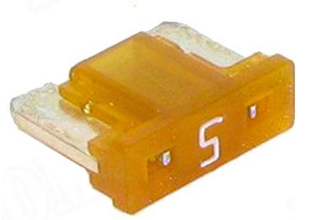 358129032.MAIN.jpg