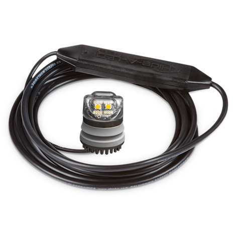 9031C