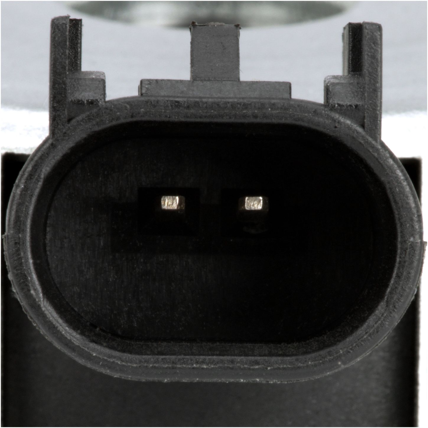 VVS378-4_CON_A.jpg