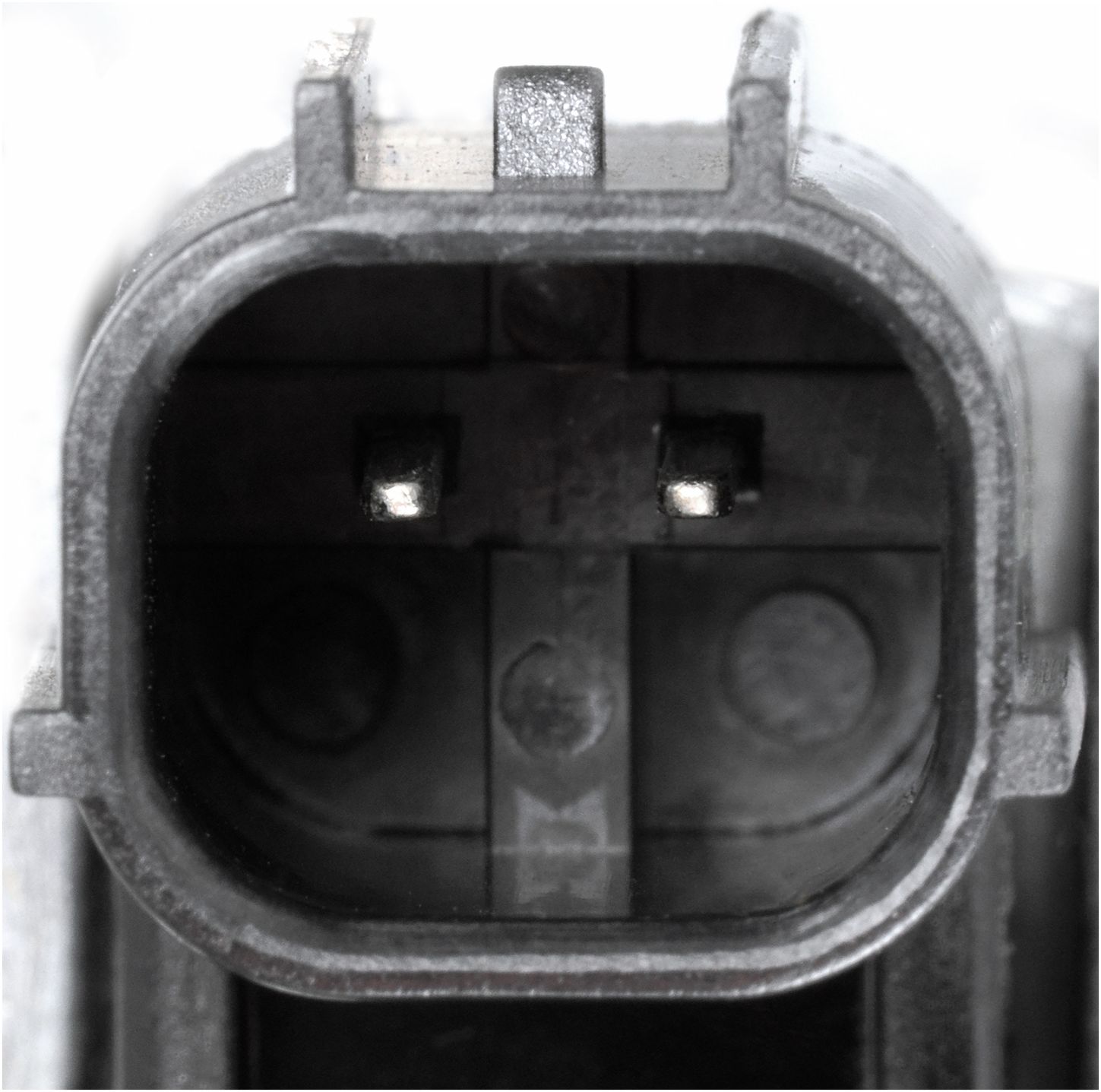 VVS302-5_CON_A.jpg