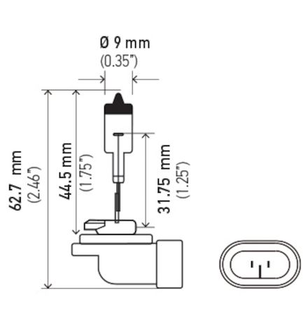 H71071182.PT01.jpg