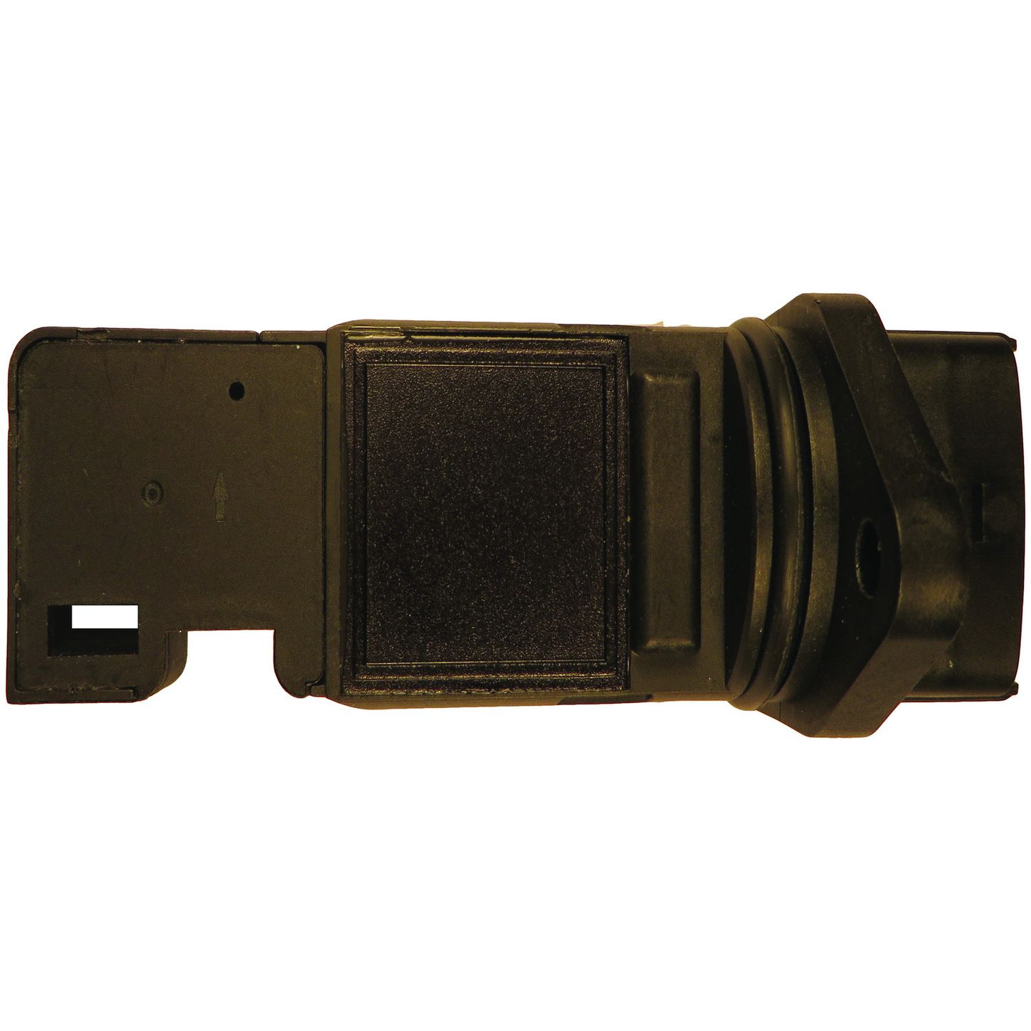 MAF10246 BAC