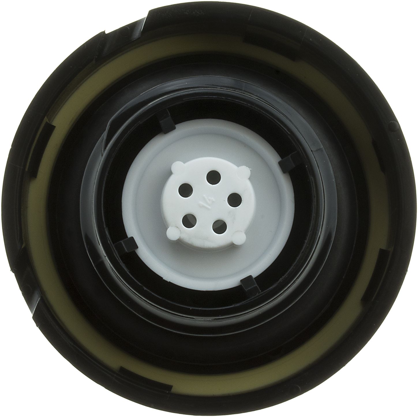 31781-3_BOT_A.jpg