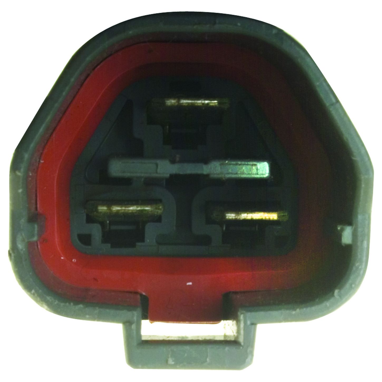 DST11612 P