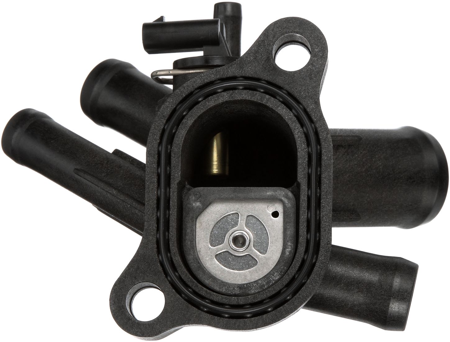 CO35004-3_BOT_A.jpg