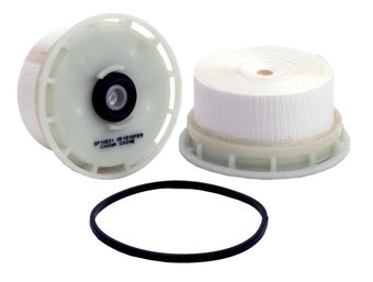 WF10231.jpg