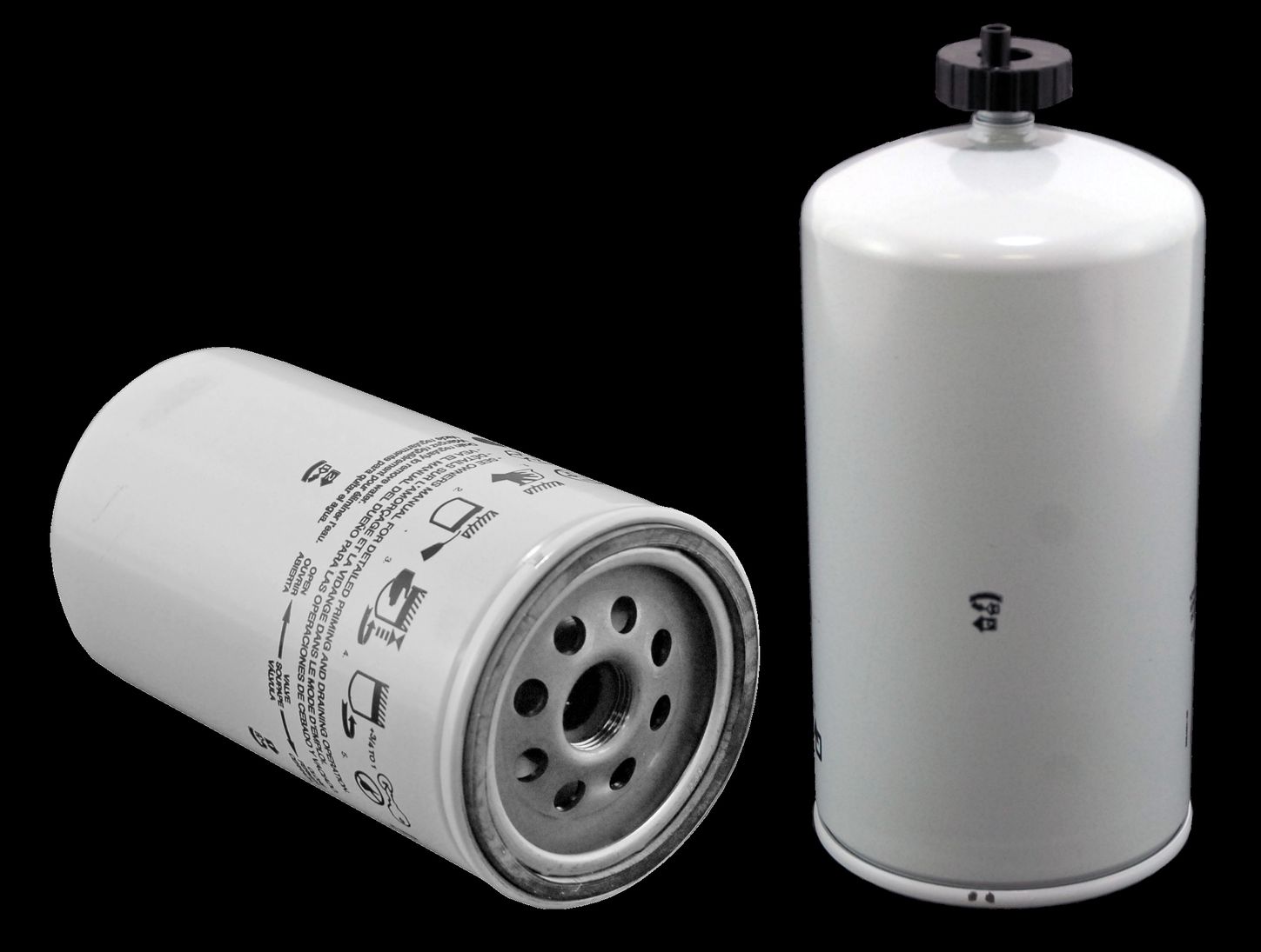 WF10026.jpg