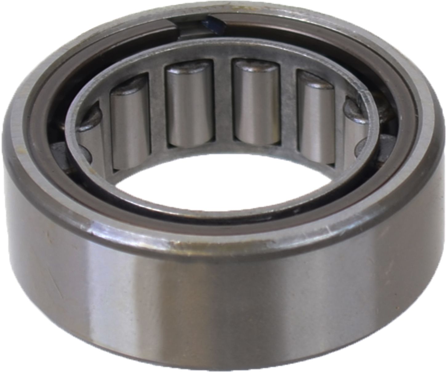 R1535-TAV_1.JPG