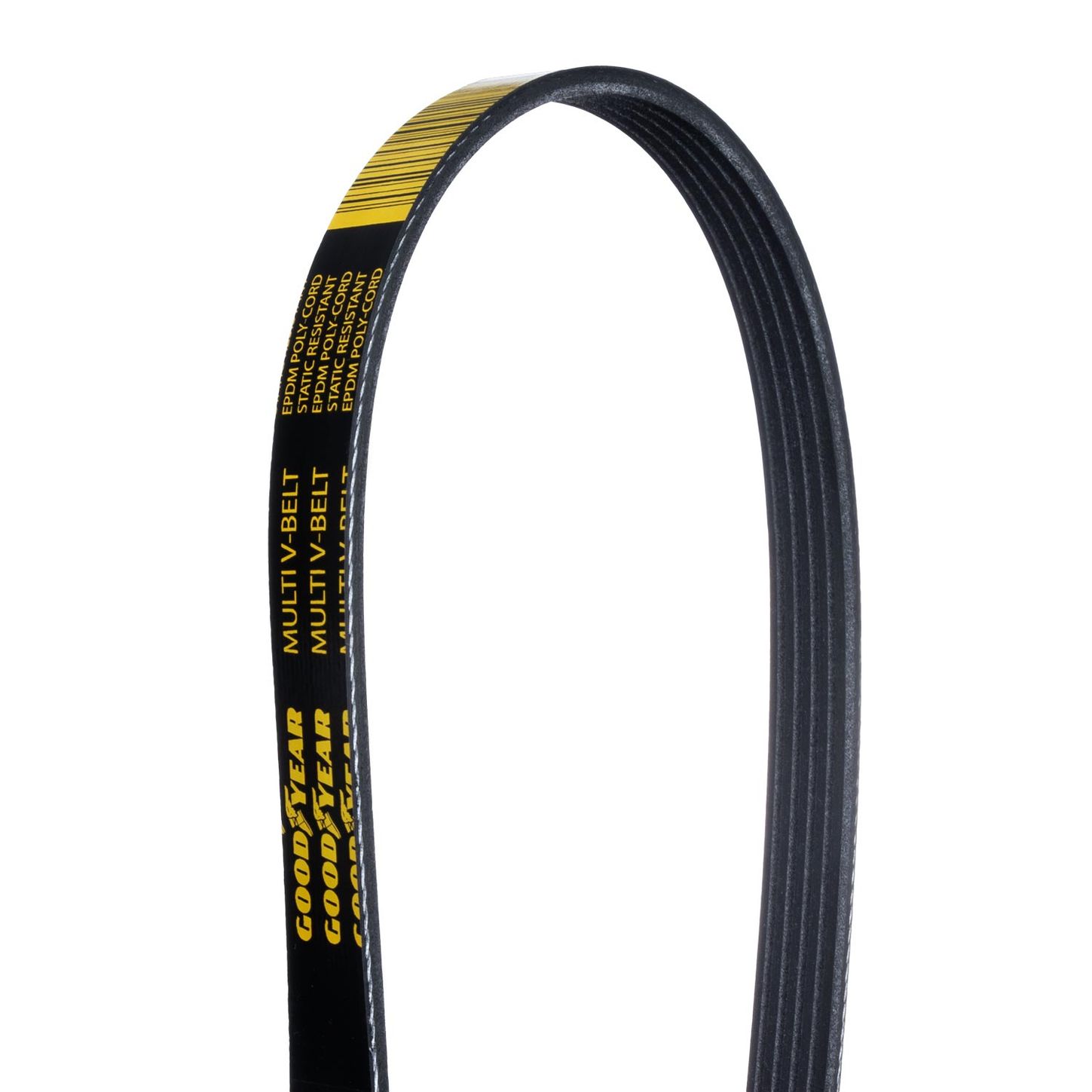 5PK-Close-Up-Belt-Backside