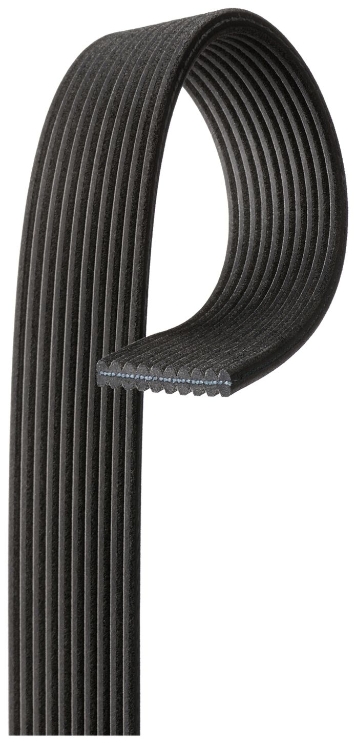 serpentine-beltimage-DK100672-DK100743-DK100744.jpg