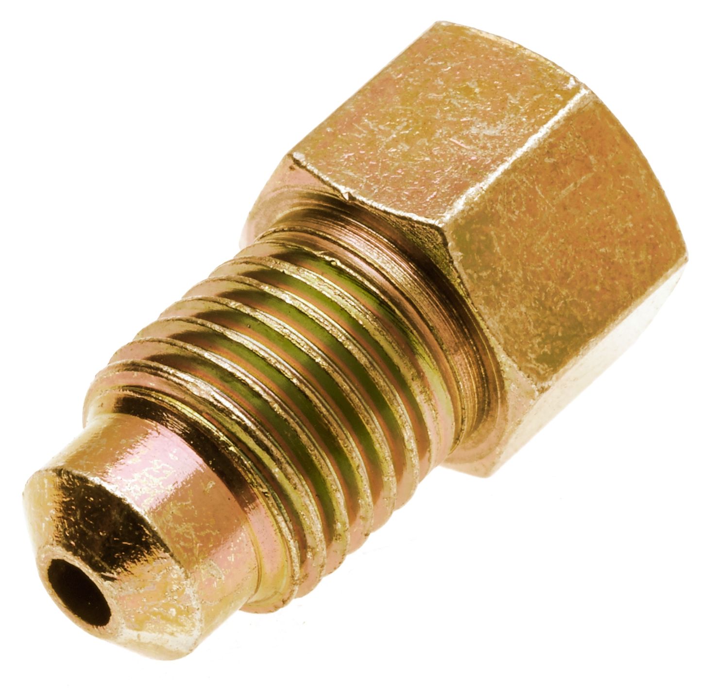 G493240304-1_ANG_R.jpg