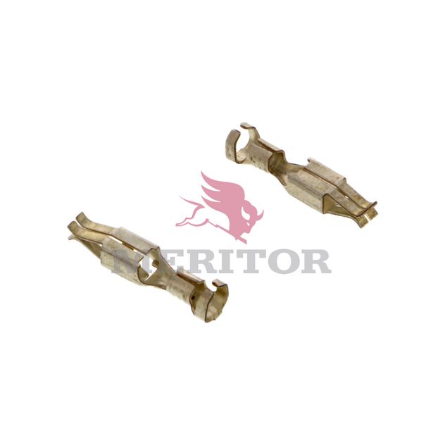 8945102984 photo front 156920