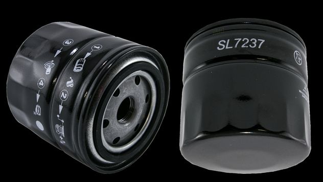 WL7237.jpg