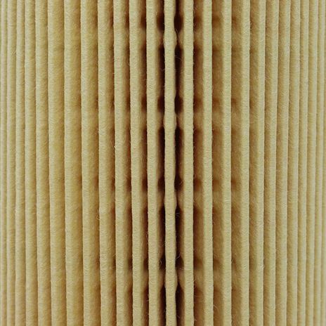 PRIMPOF5904 3