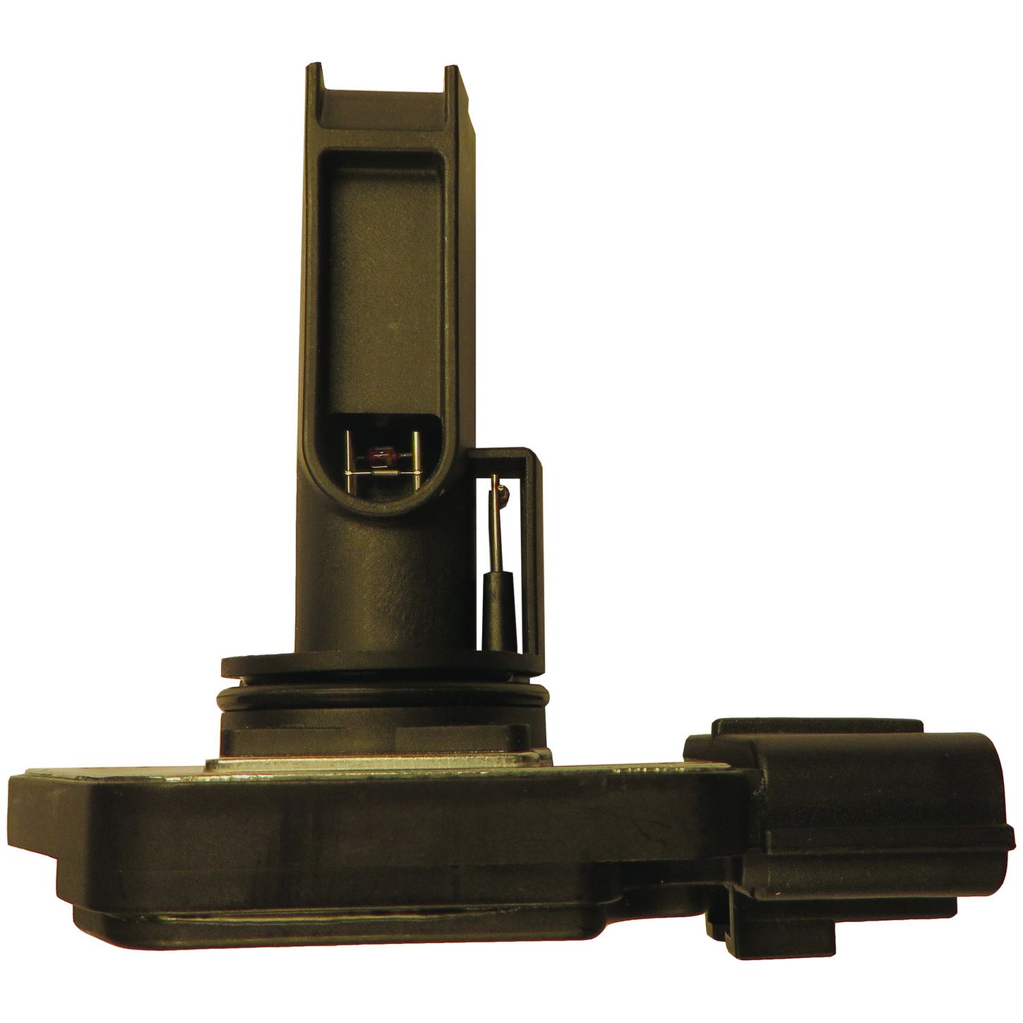 MAF10309 SID
