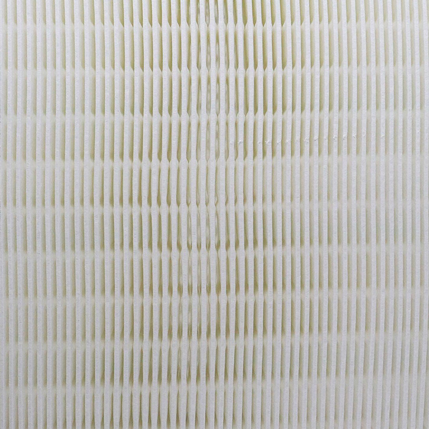 PRIMPAF1465 3
