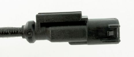 SC547_3.JPG