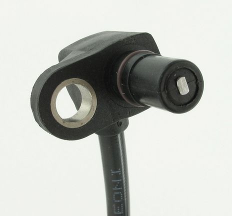 SC492_2.JPG