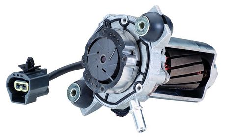 009428087.PT25.jpg