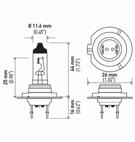 H7 24V LL.PT01.jpg