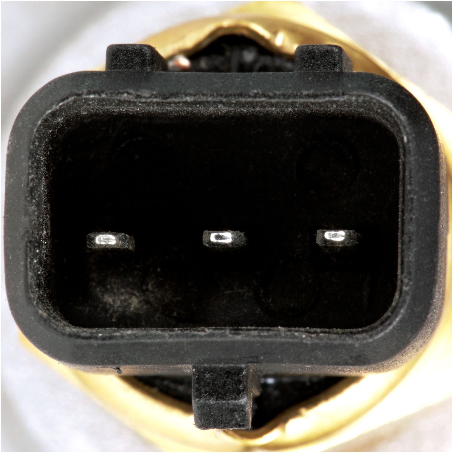 CO35033-4_CON_A.jpg