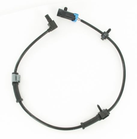 SC416_1.JPG