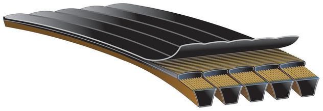 accessory-drive-beltimage-6466BR-6470BR-6538BR.jpg