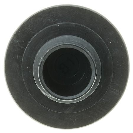 MOTRMO81 2