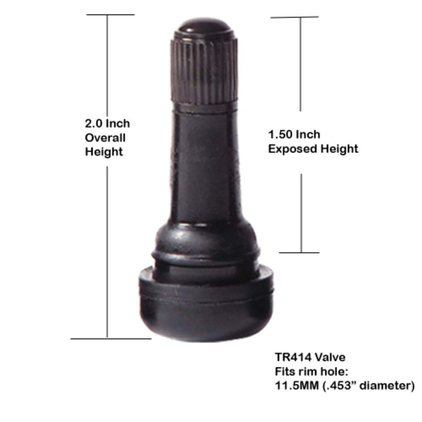 XTRA154455 1