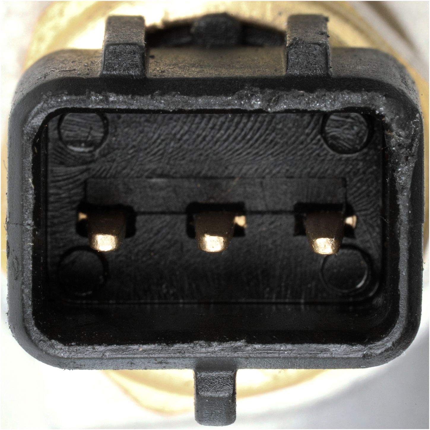 CO34922-4_CON_A.jpg