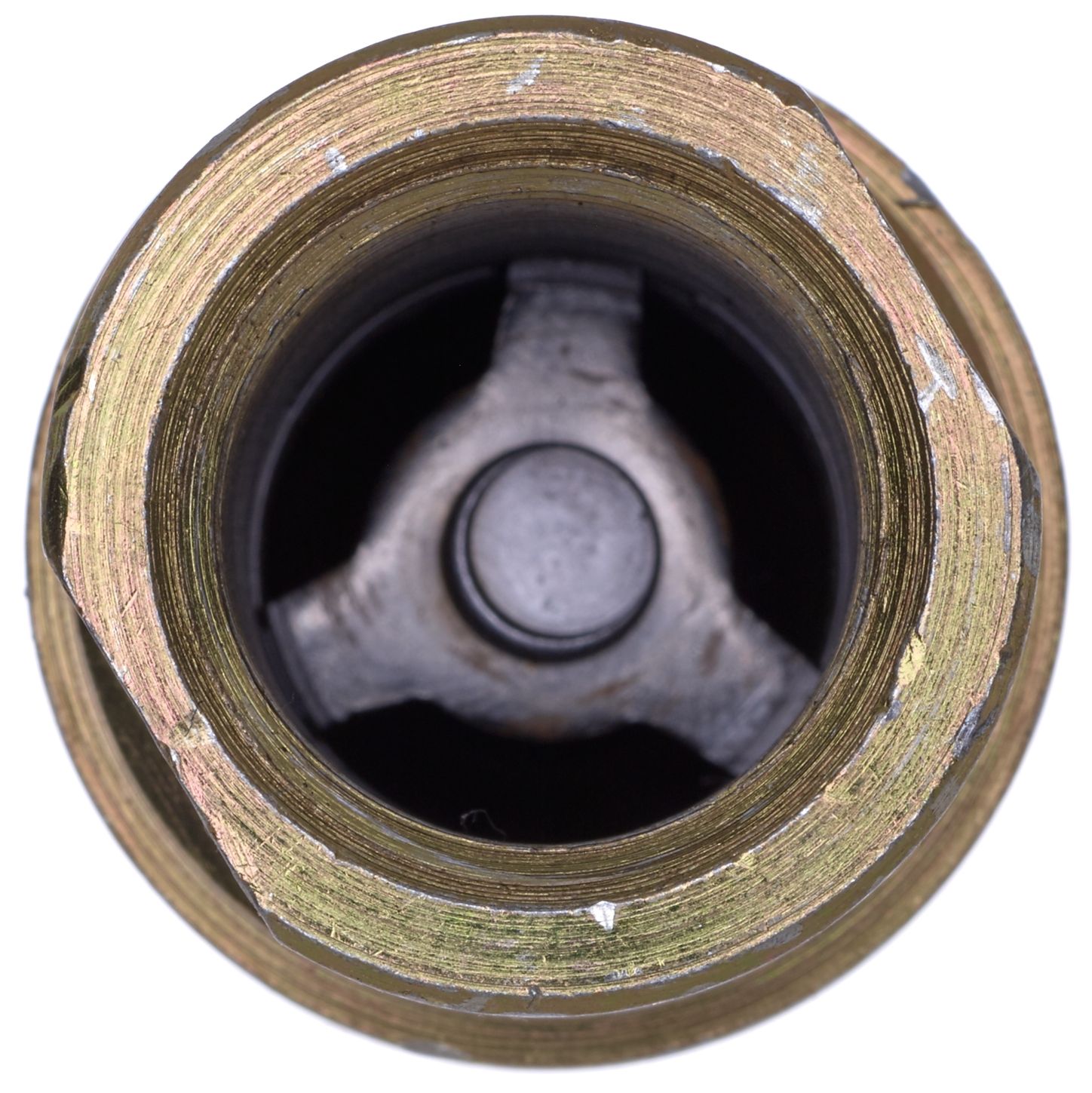 G943110808-3_RIT_R.jpg
