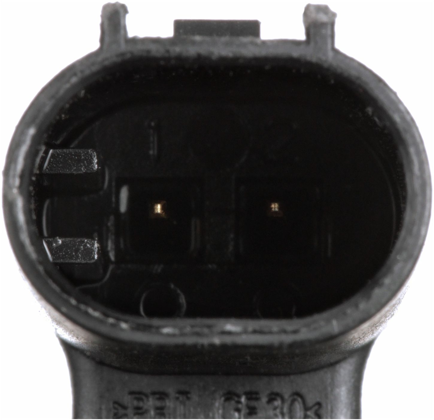 CO34996-4_CON_A.jpg