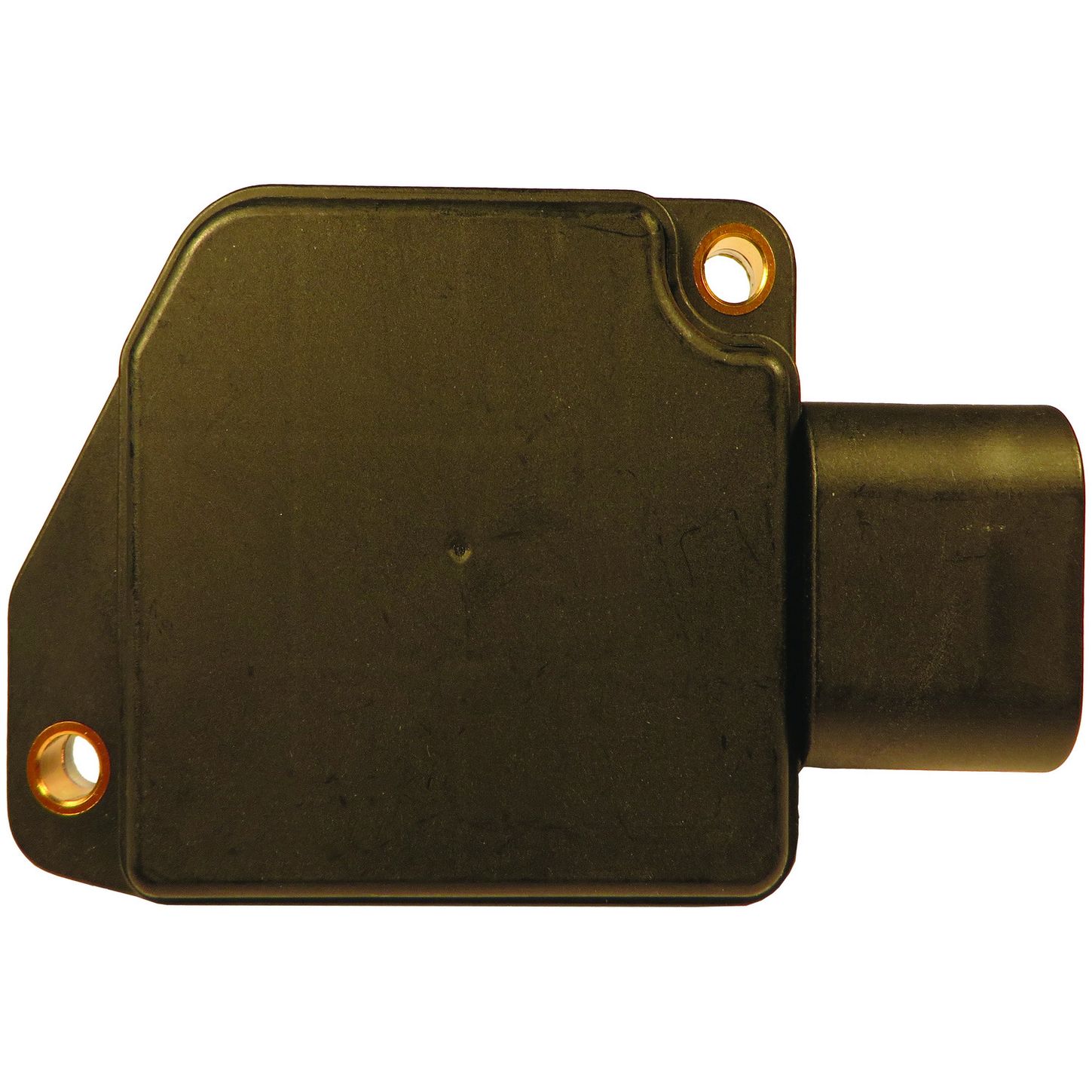 MAF10138 BAC