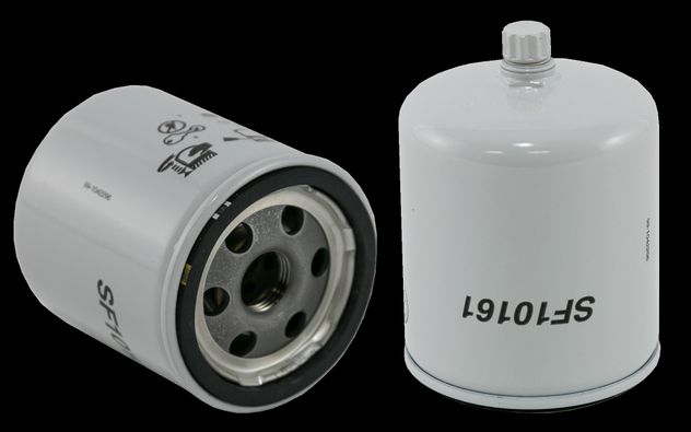 WF10161.jpg