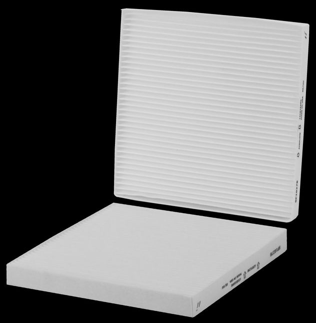 WP10278.jpg