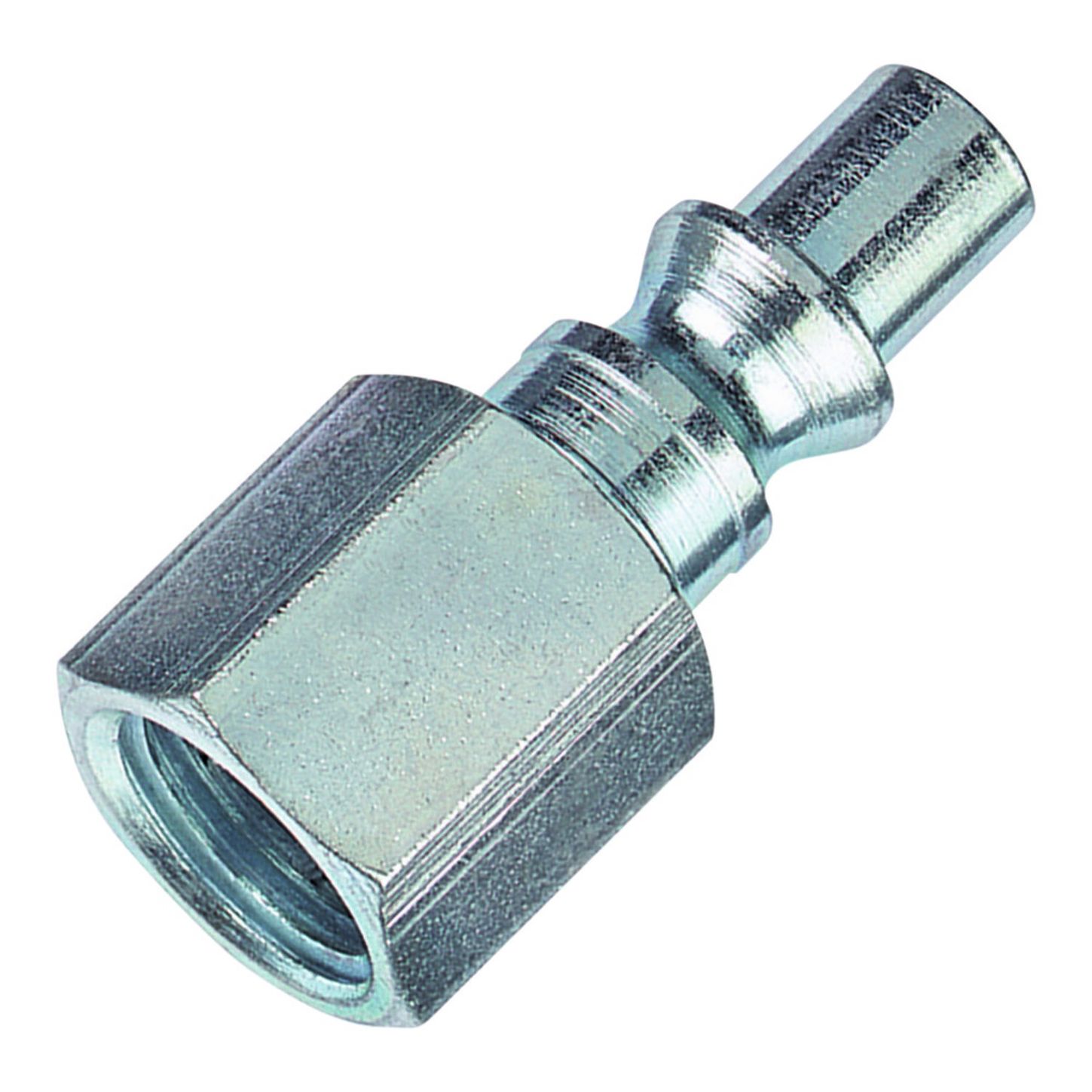 AMFLCP38_1_x-large.jpg