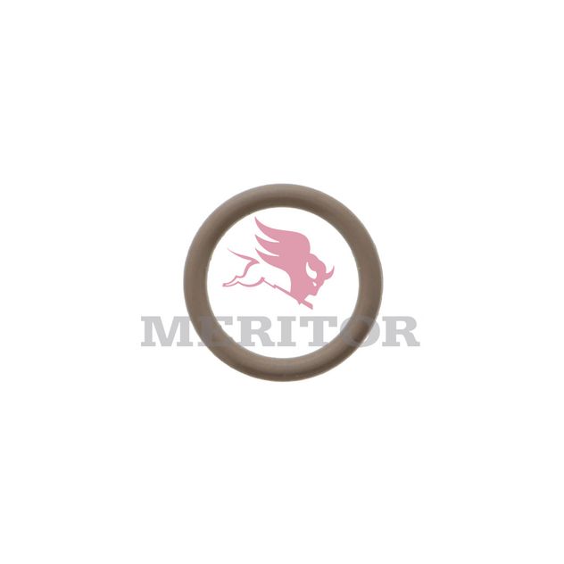 5X889 photo front 32242