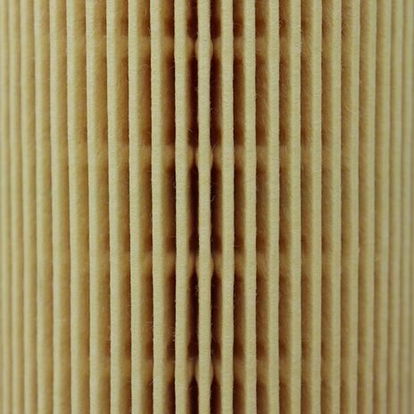 PRIMPOF5610 3