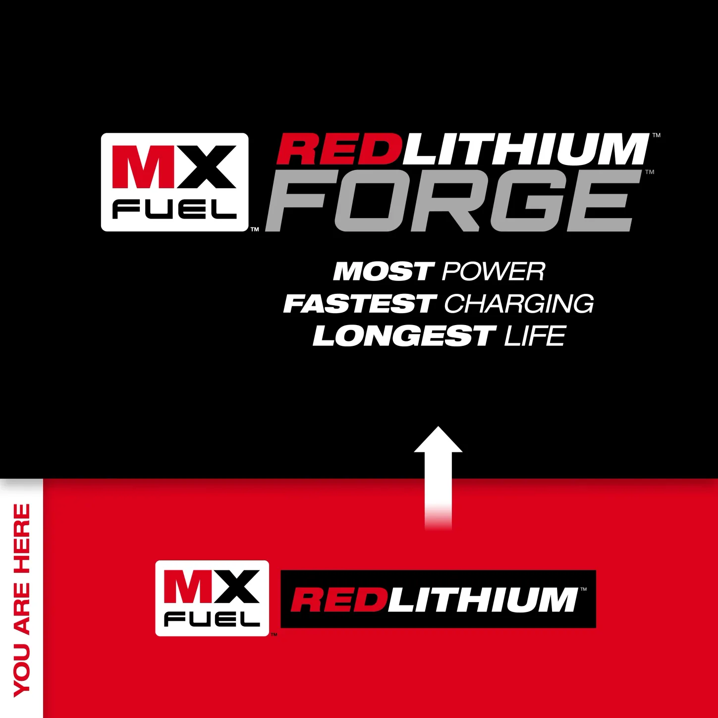 MXFXC406 2
