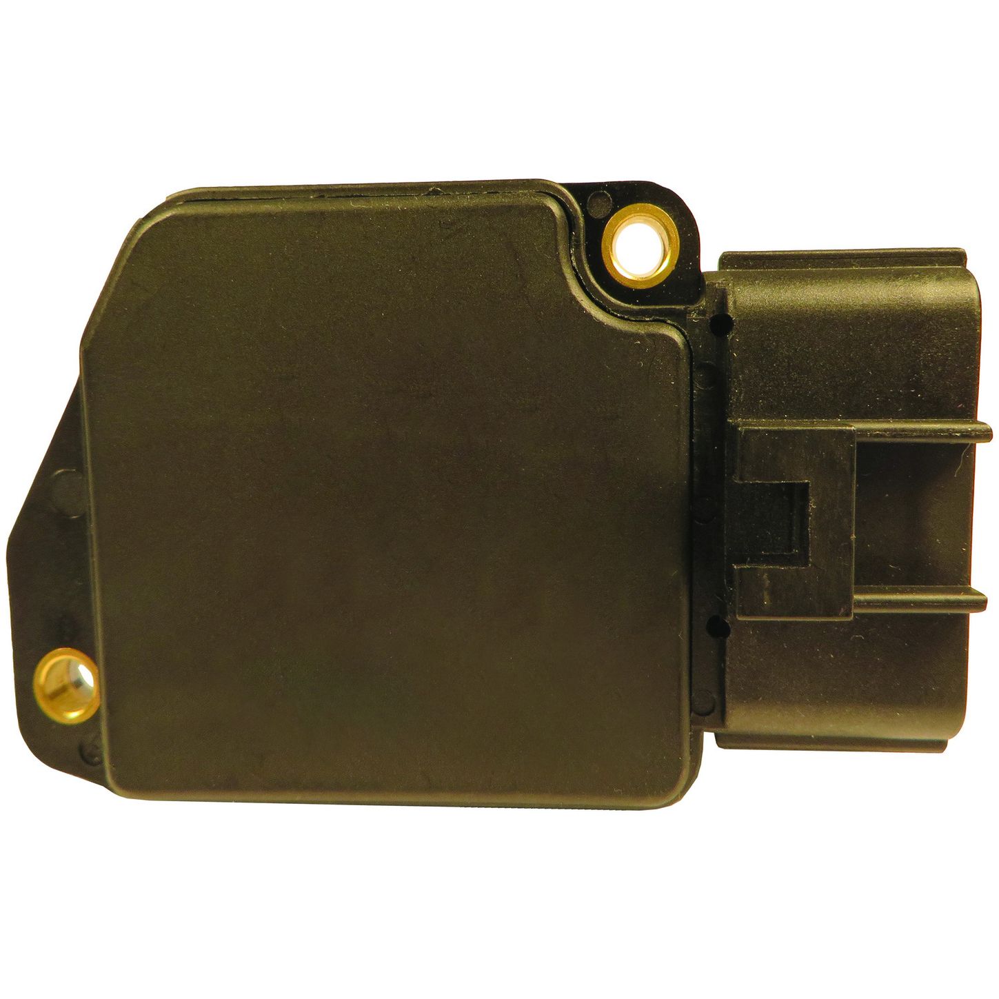 MAF10143 BAC
